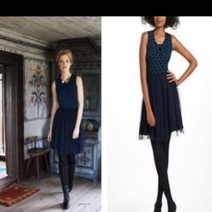 Anthropologie Weston wear navy tulle polka dot. Sm